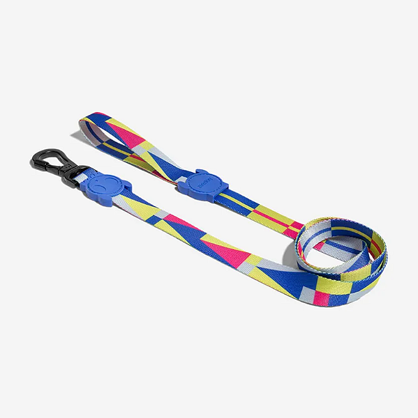 Guia Zeedog para cachorros Volt