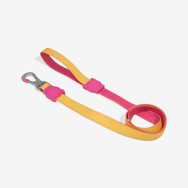 Guia Zeedog para cachorros Neopro Lyra