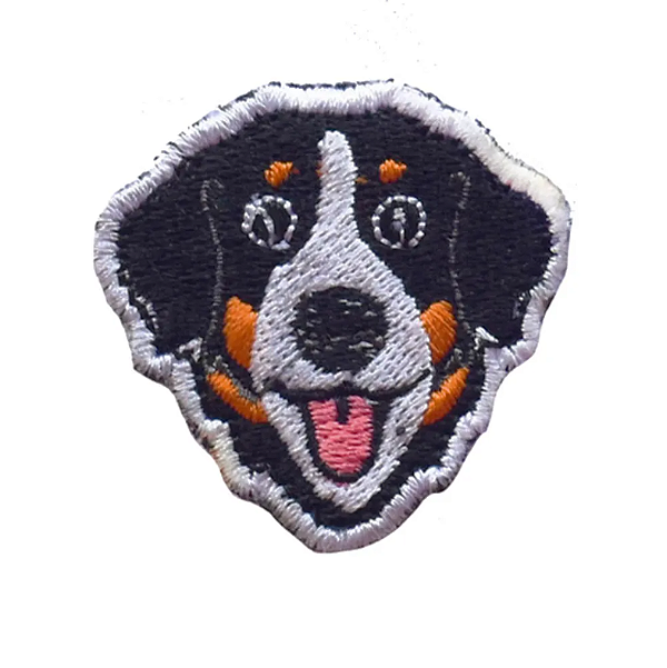 Patch Bernese