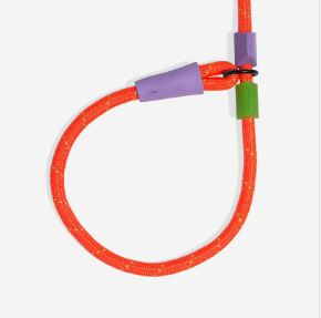 Guia unificada Zeedog para cachorros - Everest
