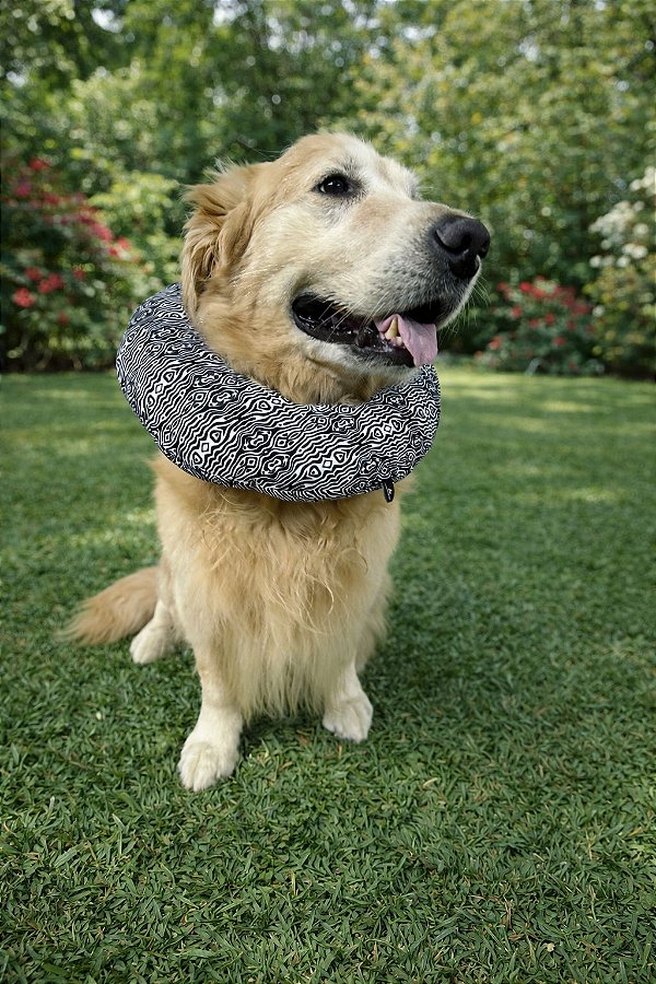 Colar Elizabetano Zebra preto e branco - Acapulco Pet