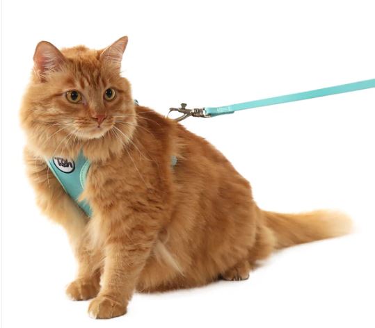 Peitoral e Guia Toh Neocomfy Maresia para Gatos