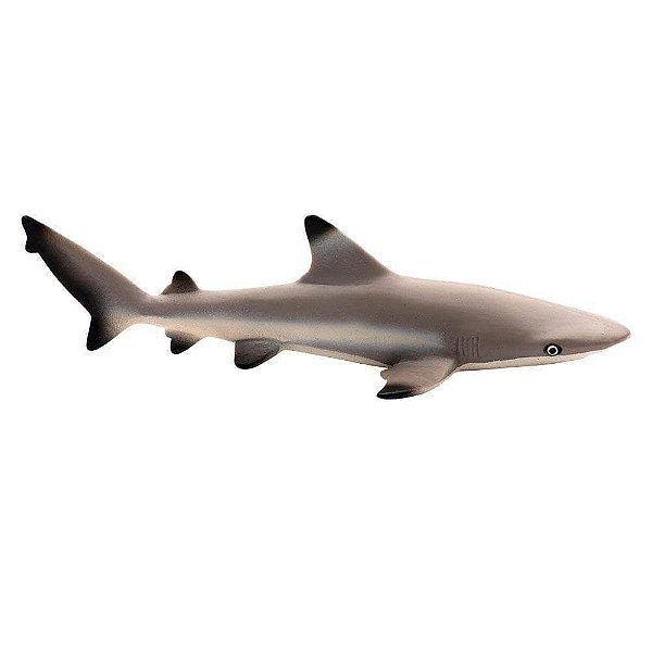 Figura Tubarão de Pontas Negras (Blacktip Reef Shark) Safari Ltd.