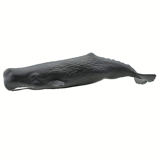 Figura Cachalote (Sperm Whale) Safari Ltd.