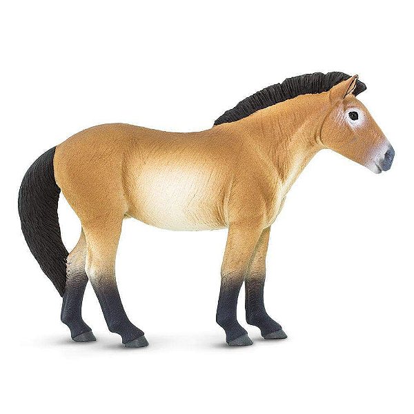 Figura Cavalo Przewalskis Safari Ltd.