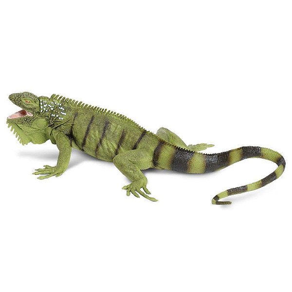 Figura Iguana Safari Ltd.