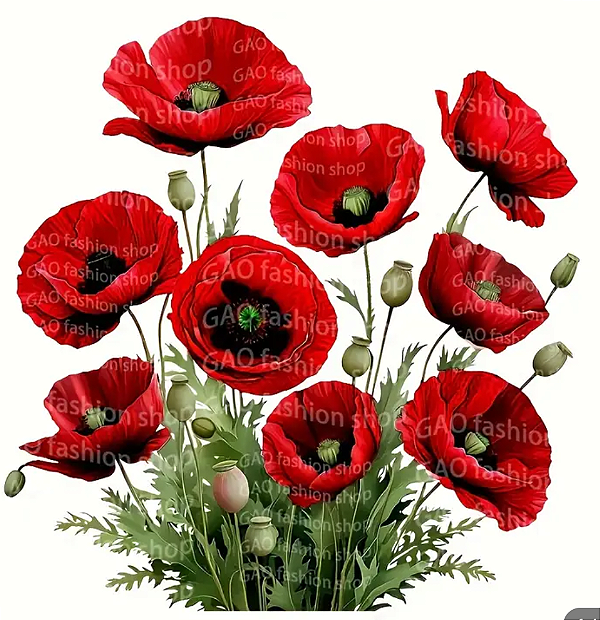 Transfer para tecido, Flores vermelhas Papoula( 1 unidade)