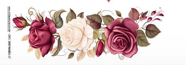 Decalques para tecido 11 (27cm x 10cm)