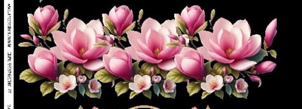 Decalques para tecido 18 (27cm x 10cm)