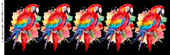 Decalques para pano de prato G (38cm x 11)