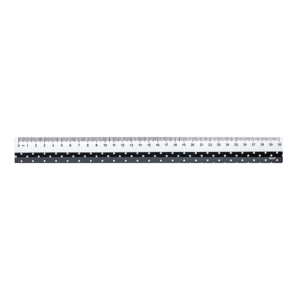 Régua Plástica 30cm Estampas BRW