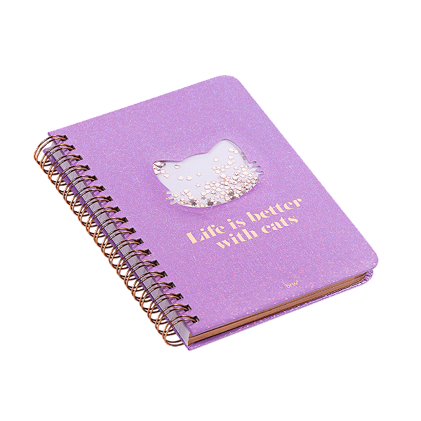 Caderno Formato Best Friend 112x160 80 folhas BRW