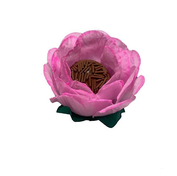 Rosa Apaixonada Luxo 50Und
