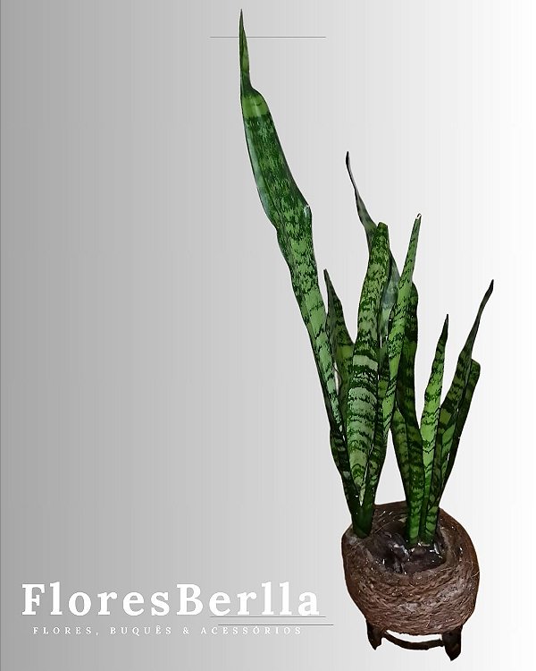 Espada São Jorge (60cm) Artesanal