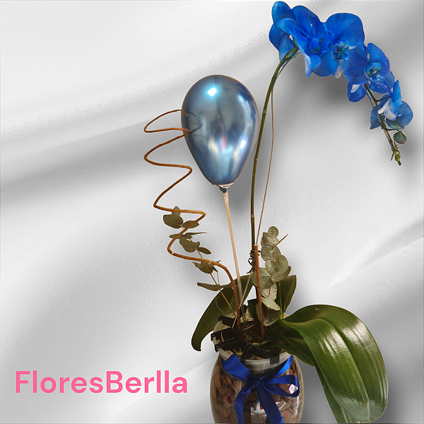 Orquídea  azul