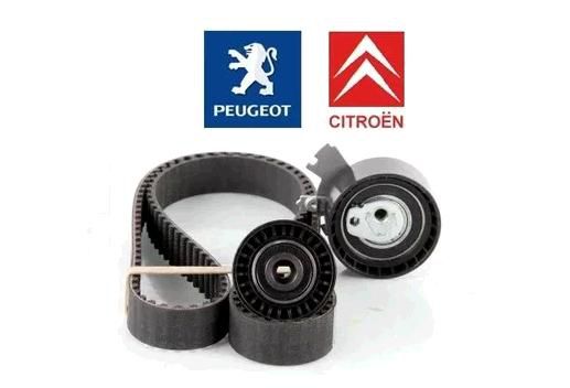 Kit Correia Dentada - Dayco - Aircross 1.6 16v 2010 a 2021 - 134 Dentes / 25.4mm