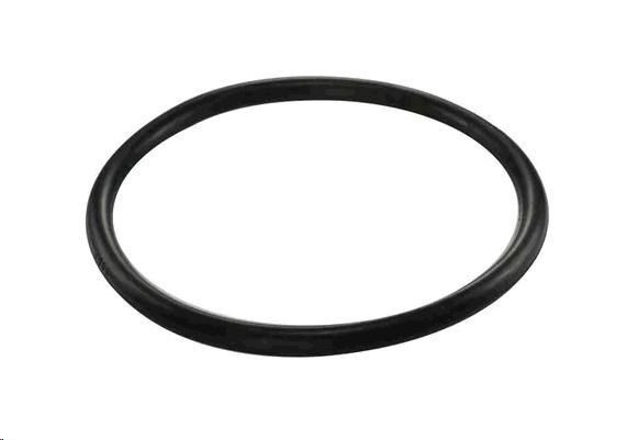 Anel Tampa Bomba Elétrica Combustível - S10 2.4 8v 2007 a 2012