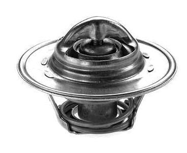 Válvula Termostática - Gol 1.6 8v - AE 1989 a 1994