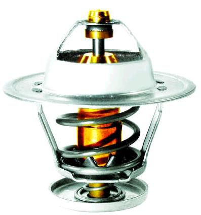 Válvula Termostática - Escort 1.6/1.8/2.0 8v - AP 1989 a 1994