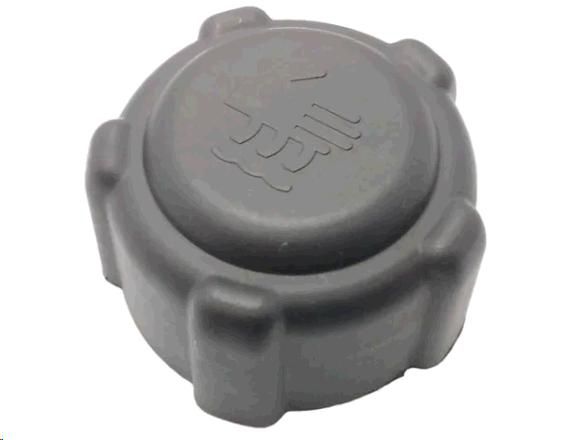 Tampa Reservatório Água Radiador - Kangoo 1.6 16v 03/2007 a 2018