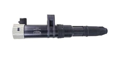 Bobina Ignição - Express 1.6 8v 1996 a 2001 - 2 Pinos