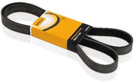 Correia - ALT-C/DH e C/ACD - Hilux RAV4 1.8/ VVTi 2000 a 2005 - 6PK1891