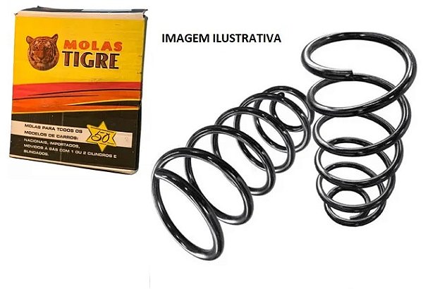 Par Mola Suspensão Traseira - Fusion 2.5 16v 2010 a 2012