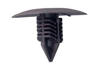 Grampo do Para-Barro - Laguna 2001 a 2007