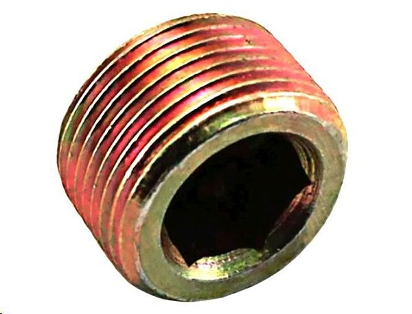 Bujão Carter Óleo Motor e Cãmbio - Palio 1.0/1.3/1.4/1.5/1.6/1.8 8v/16v 1996 a 2018