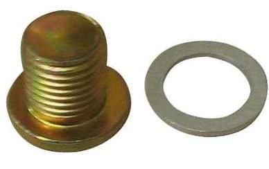 Bujão Carter Óleo Motor Allen 6mm - Escort 1.6/1.8 8v - AP 1983 a 1992 - C/Anel