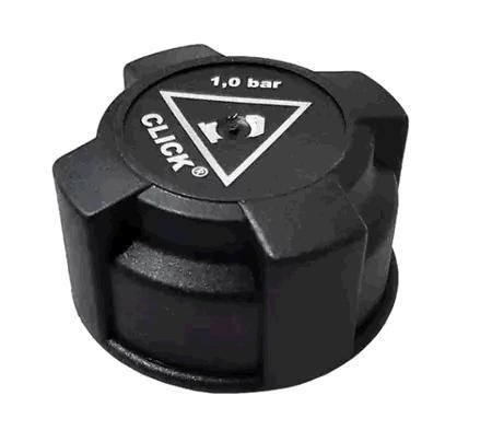 Tampa Reservatório Gasolina Partida Fria - Fiorino