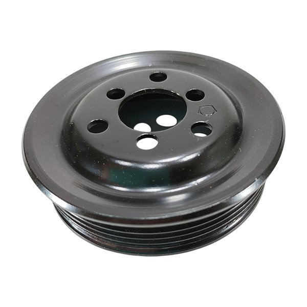 Polia Bomba Direção Hidraulica 6PK - Golf 2000 a 2014