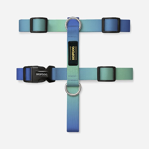 Peitoral H Azul e Verde