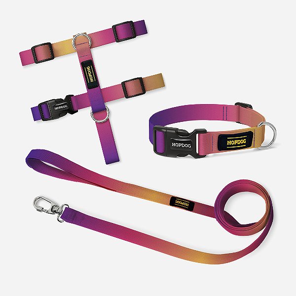 Kit Roxo e Laranja - Peitoral H com Guia Slim e Coleira