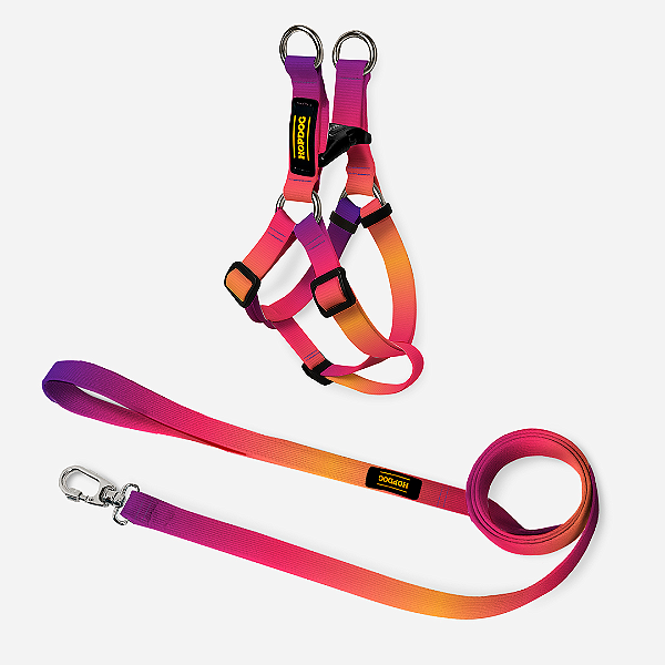 Kit Roxo e Laranja - Peitoral Step In com Guia