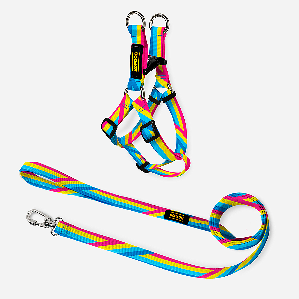 Kit Rainbow - Peitoral Step In com Guia