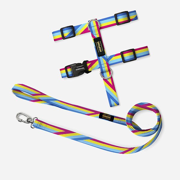 Kit Rainbow - Peitoral H com Guia