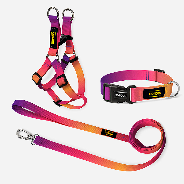 KIT Roxo e Laranja - Peitoral Step In com Guia Slim e Coleira