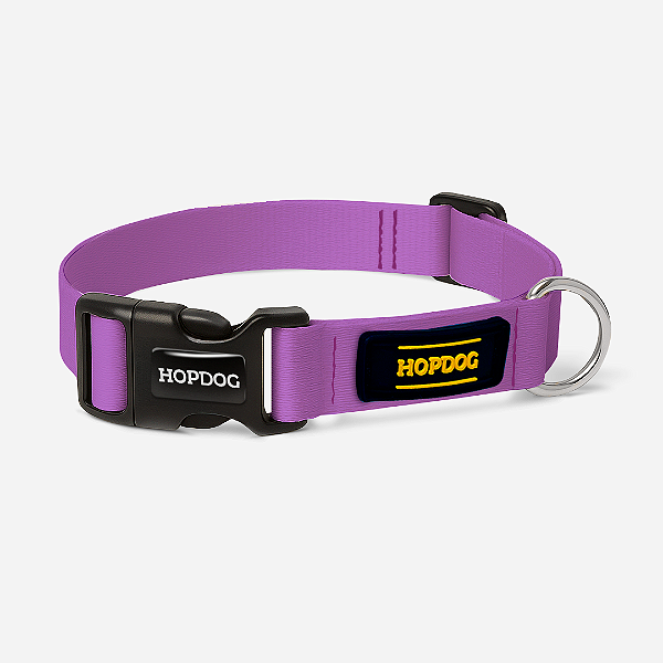 Coleira - Lilás