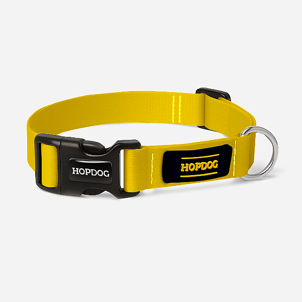 Coleira - Amarelo
