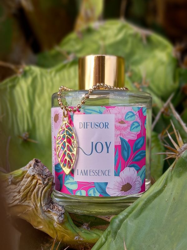 Difusor Joy 120ml