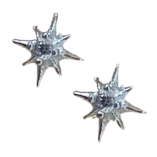 Brinco Estrela de Prata 925