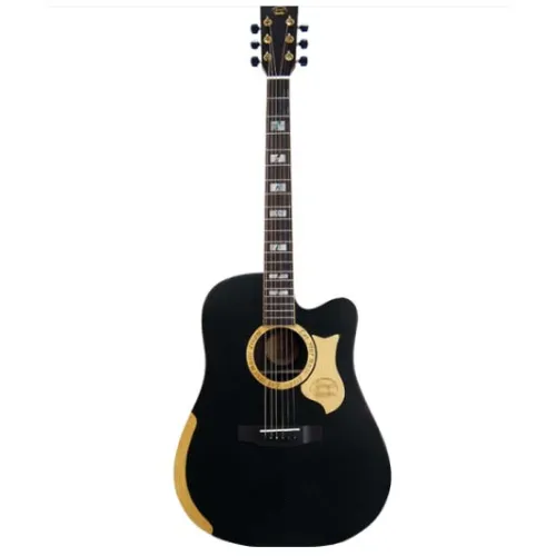 GONZALEZ VIOLAO OASIS BK PRETO ELET FOLK