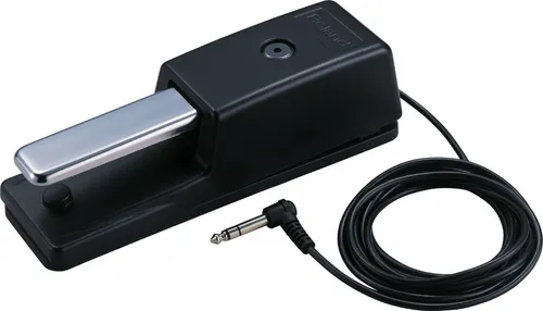 ROLAND PEDAL SUSTEIN DP10