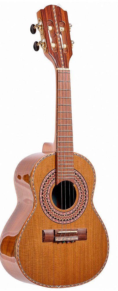 ROZINI CAVACO VIRTUOSO RC23ACN CD