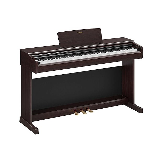 YAMAHA PIANO YDP146R
