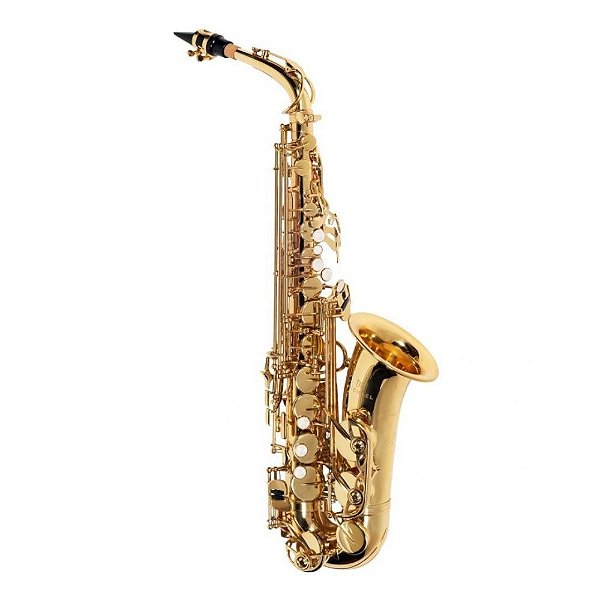 Saxofone Alto Michael WASM30N EB Laqueado Com Estojo Essence