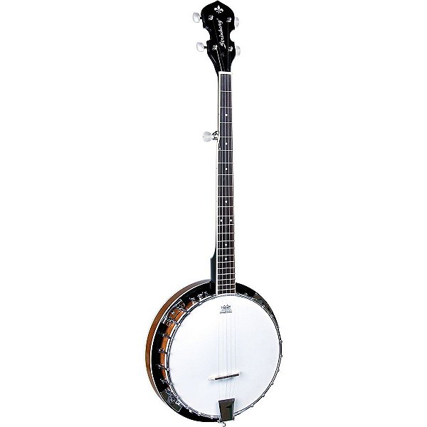 Banjo Americano 5 Cordas Strinberg Wb50