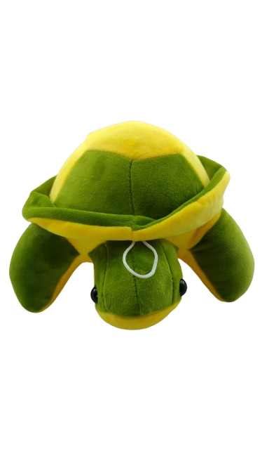 Tartaruga 25