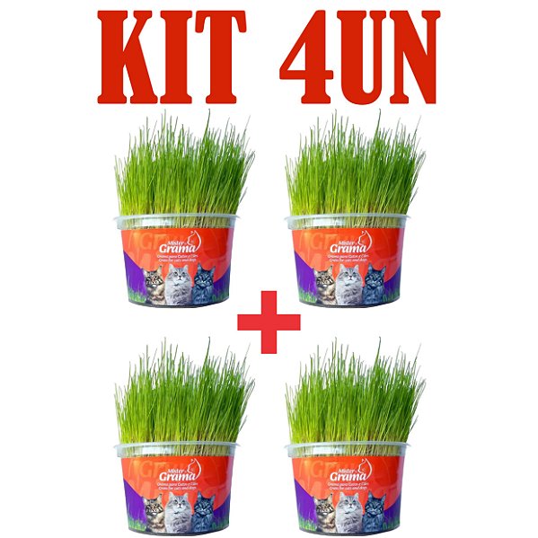 KIT 4 Graminha para Gatos - Mister Grama